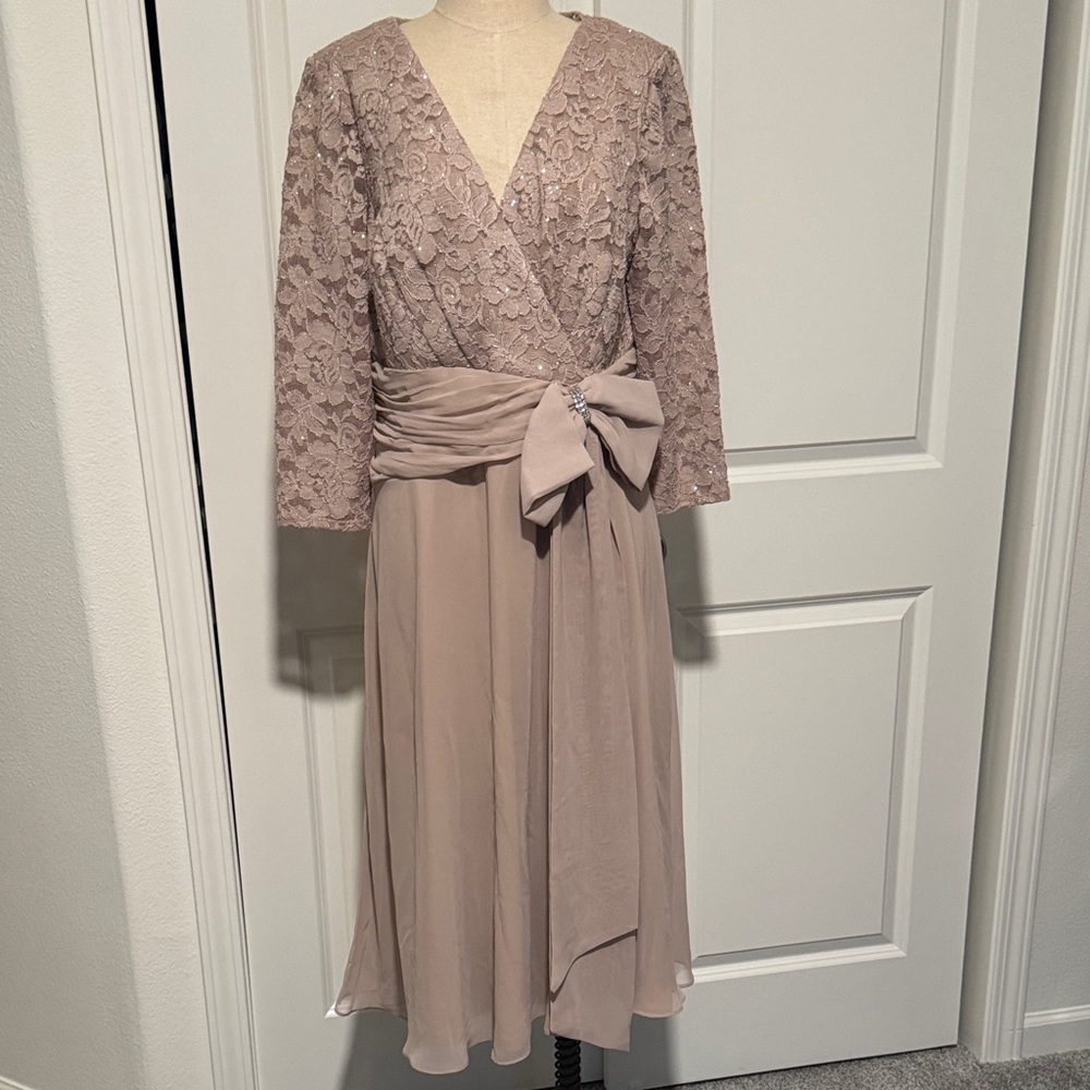 Chic Long Sleeve Lace Dress in Champagne
